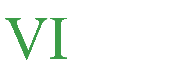 VINET Business Logo